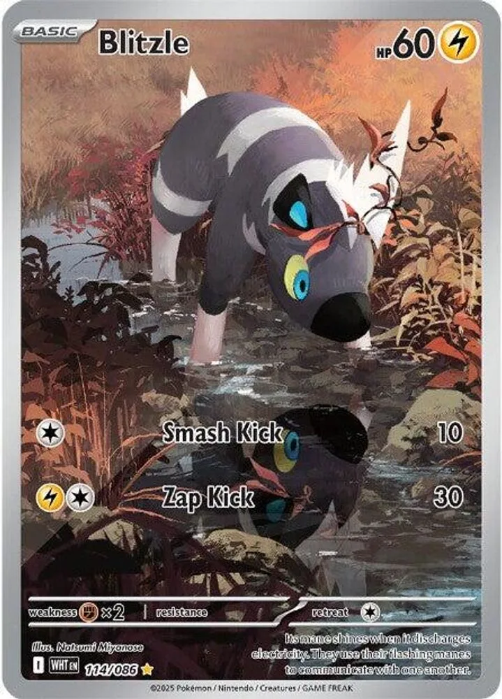 Blitzle