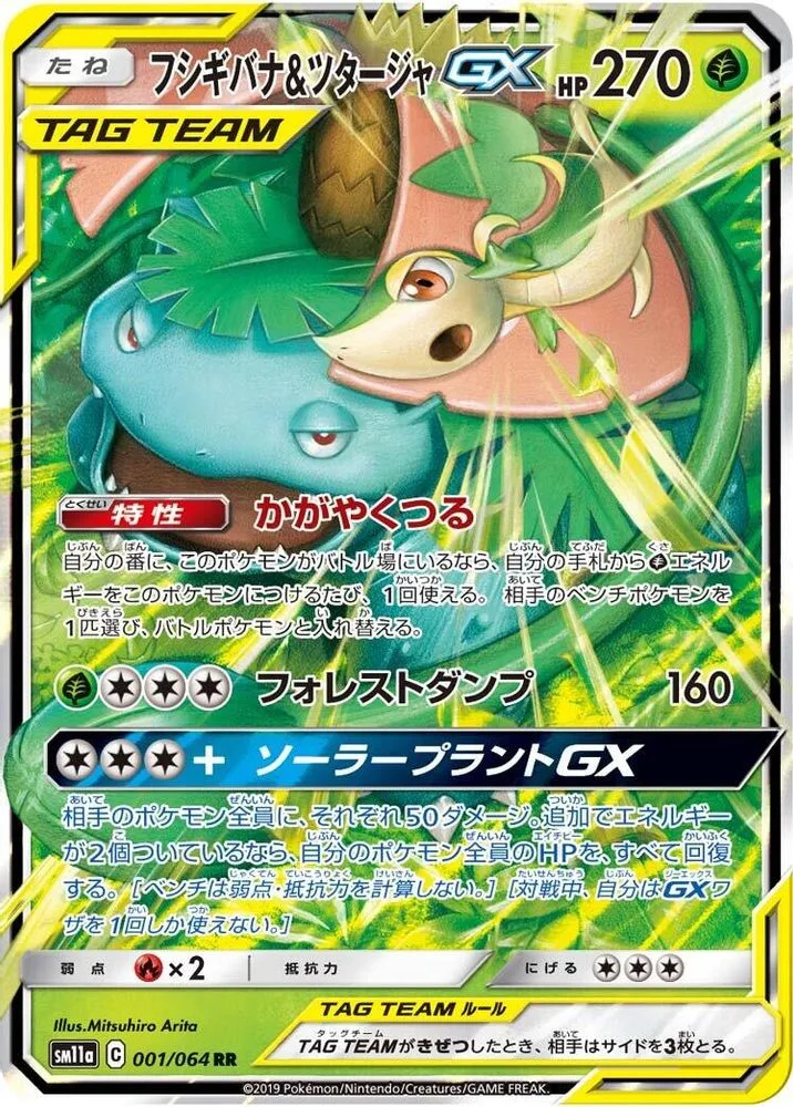 Venusaur & Snivy GX