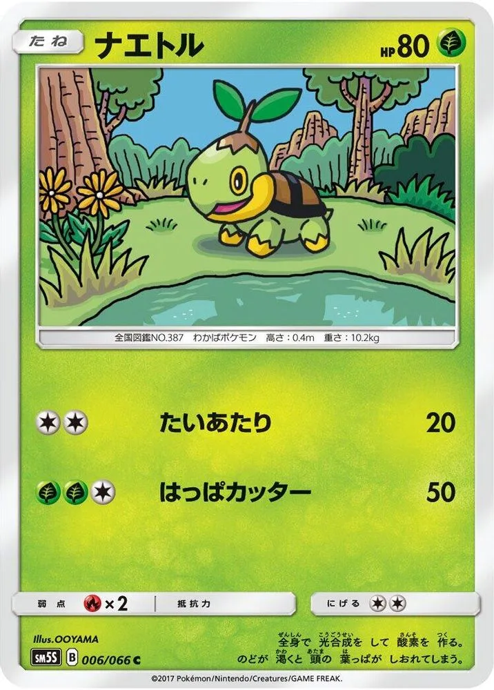 Turtwig