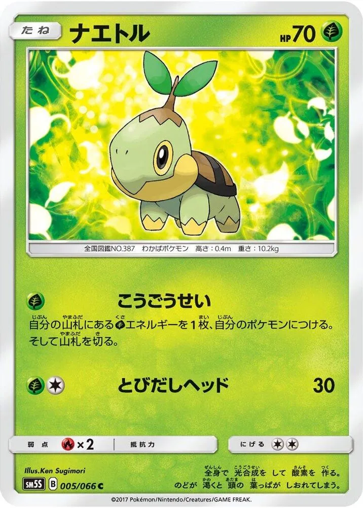 Turtwig
