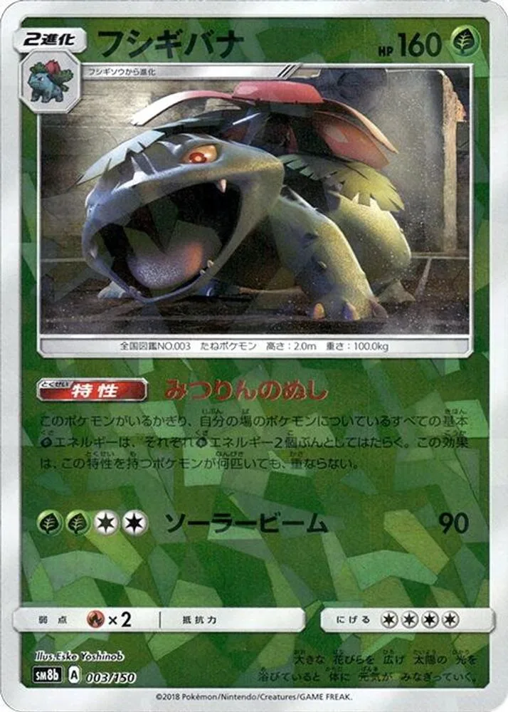 Venusaur (Mirror Holofoil)