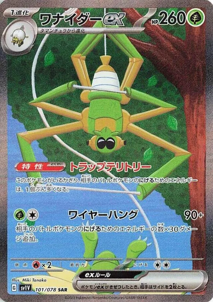 Spidops ex