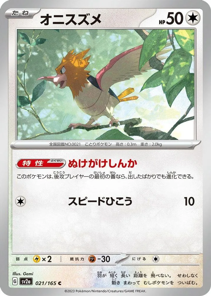 Spearow