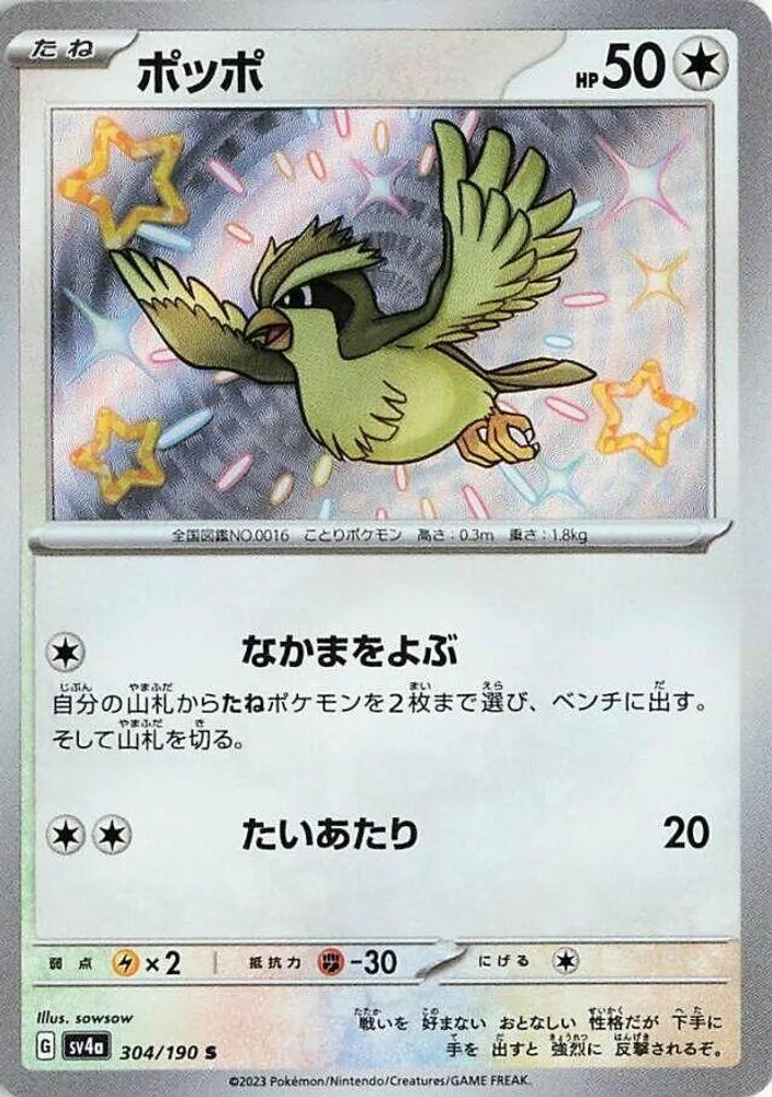 Pidgey