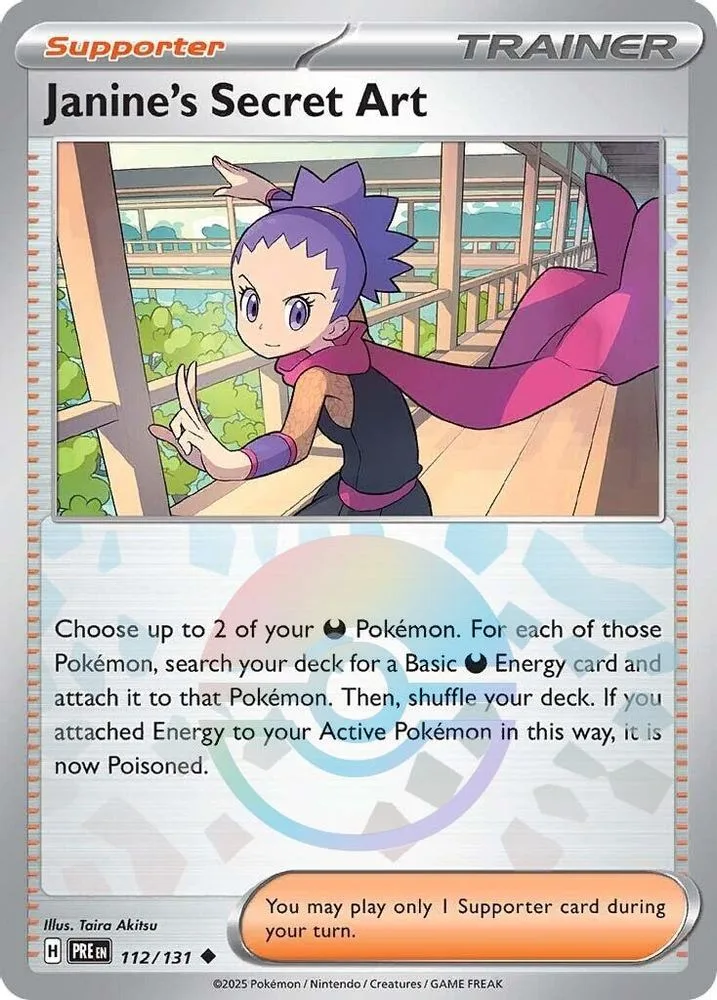 Janine's Secret Art (Poke Ball Pattern)