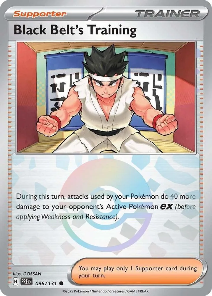 Black Belt's Training (Poke Ball Pattern)