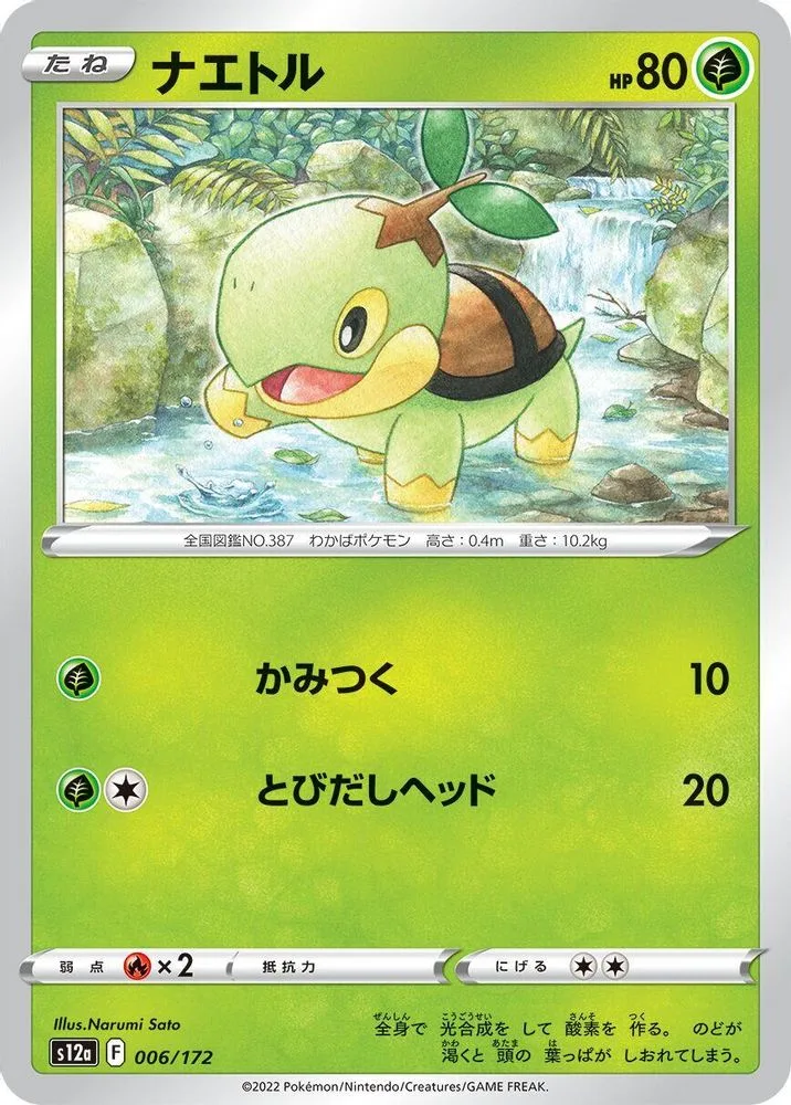 Turtwig