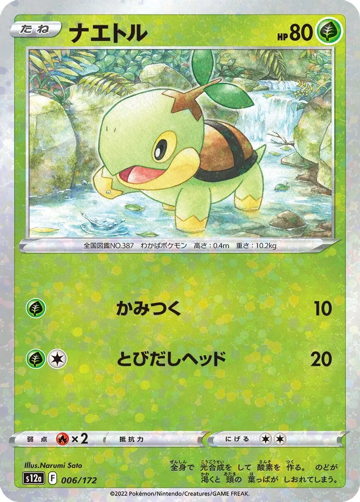 Turtwig (Mirror Holofoil)