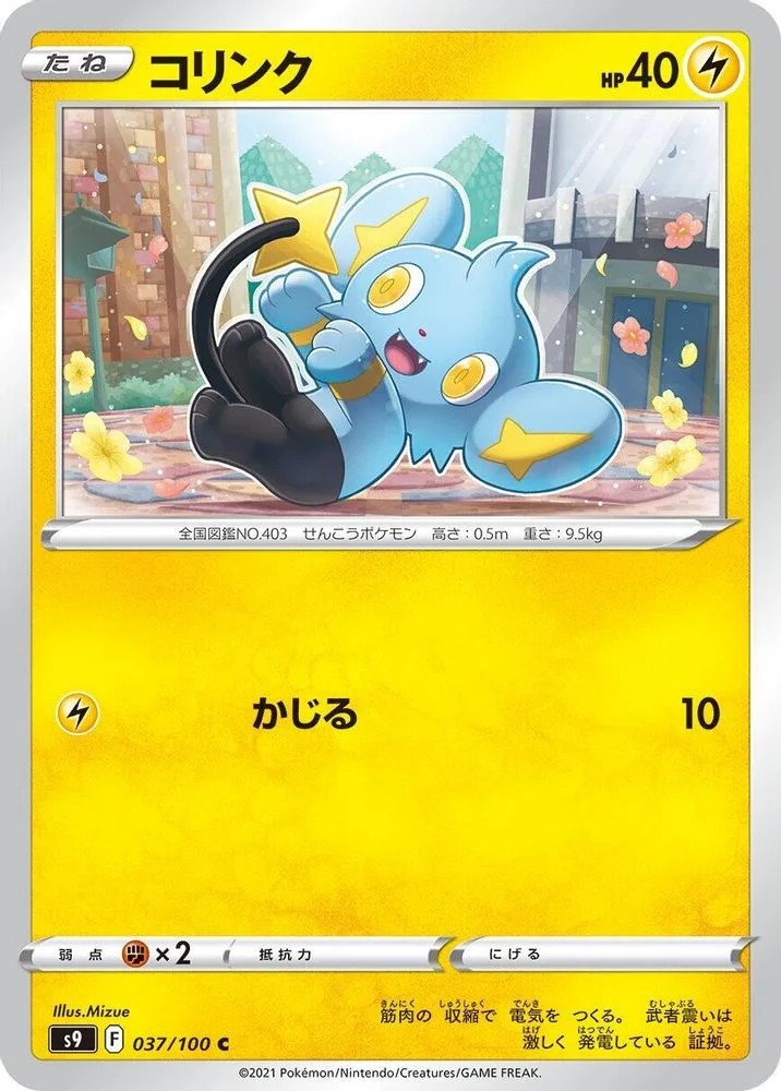 Shinx