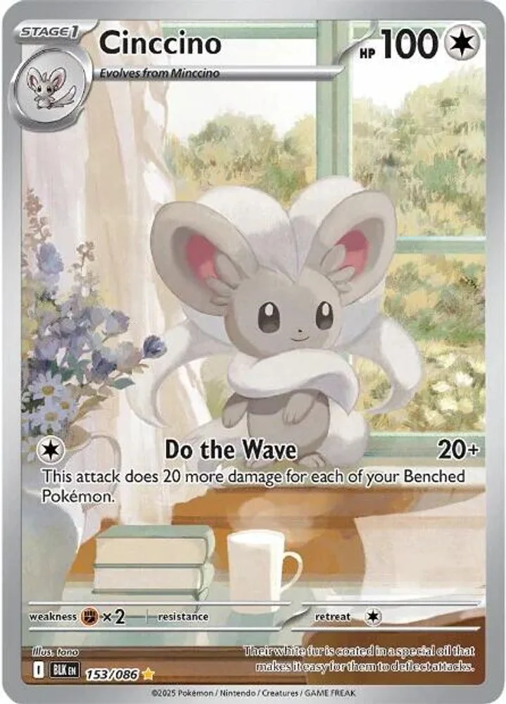 Cinccino