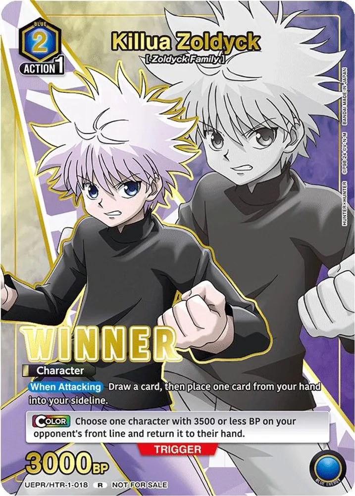Killua Zoldyck (Winner)