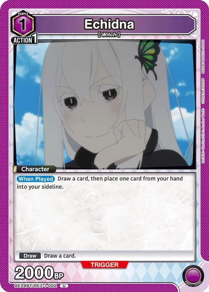 Echidna